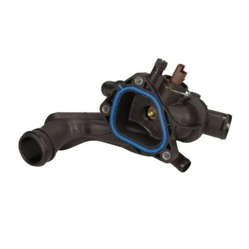 55717 Thermostat, coolant