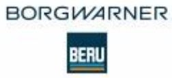 BorgWarner (BERU)